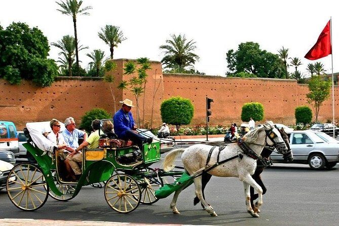 Marrakech City Tour : Private Half-Day Guided Tour - Who Will Love This Tour?