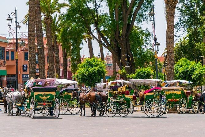 Marrakech City Tour : Private Half-Day Guided Tour - FAQs