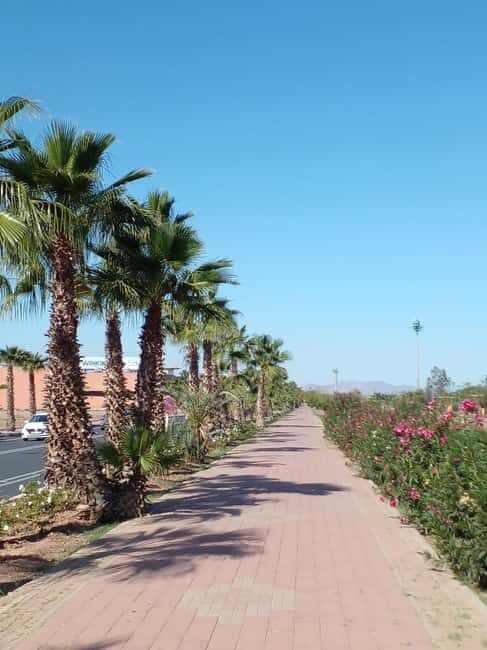 Marrakech: City Walking Tour (Traditional, Bazaar, Old Town) - A Detailed Look at the Marrakech City Walking Tour