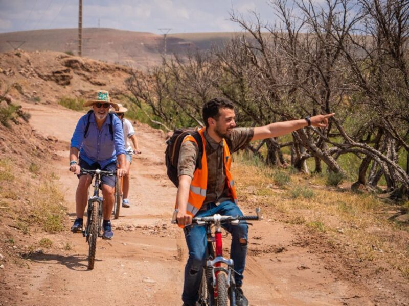 Marrakech: Cycling Tour in Palm Groove with Local Breakfast - Key Points