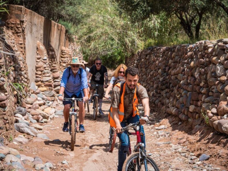 Marrakech: Cycling Tour in Palm Groove with Local Breakfast - Discovering Marrakech’s Oasis by Bike