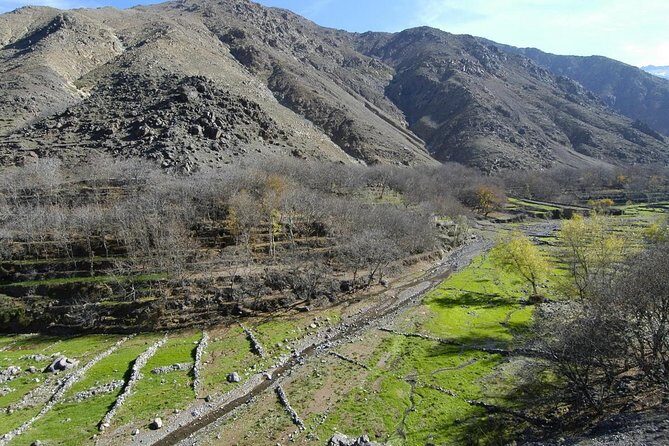 Marrakech day tour to Atlas Mountains & Ourika valley - Authentic Experiences Based on Reviews