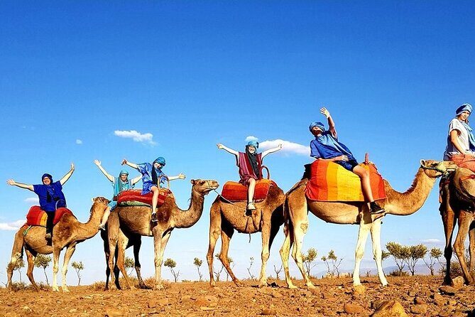 Marrakech Day Tour to the Atlas Mountains & Camel Ride Three Valleys, Waterfalls - Why This Tour Stands Out
