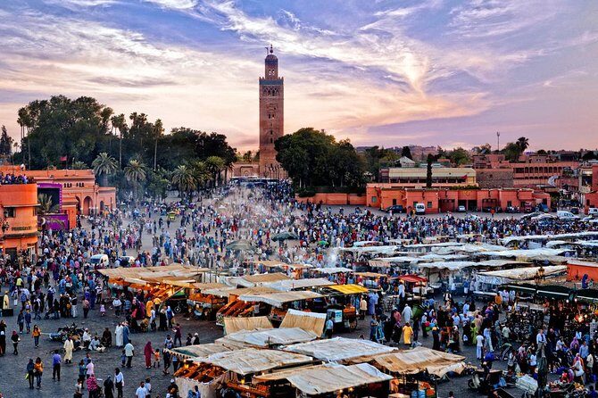 Marrakech Day Trip From Agadir - Authentic Experiences and Real Trip Insights