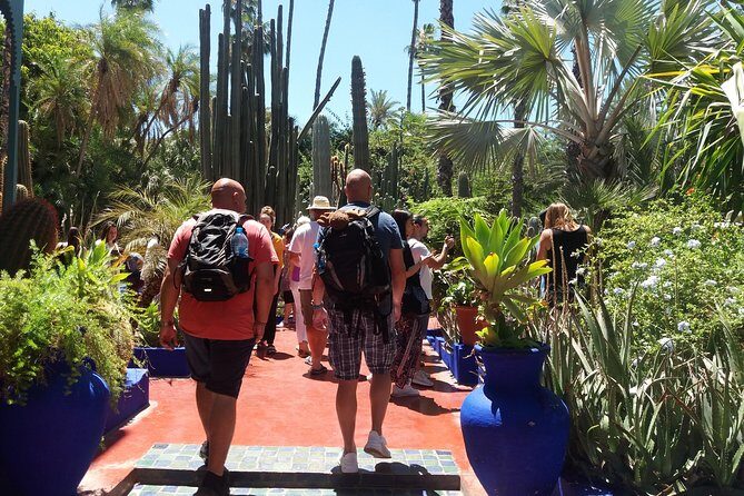 Marrakech day trip from Agadir & Taghazout - The Journey from Agadir to Marrakech: What to Expect  