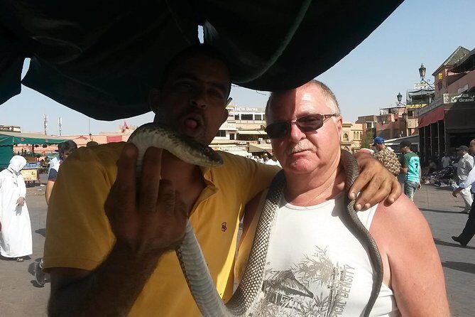 Marrakech day trip from Agadir & Taghazout - What the Reviews Tell Us  