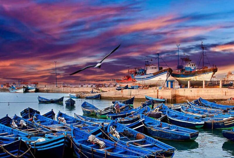 Marrakech: Day Trip to Essaouira - Transport and Group Dynamics