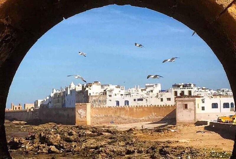 Marrakech: Day Trip to Essaouira - Who Would Enjoy This Tour?