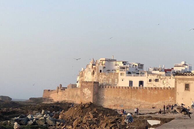 Marrakech Day Trip to Essaouira - Horseback, Camel Ride, ATV on the Beach - What Could Be Improved?