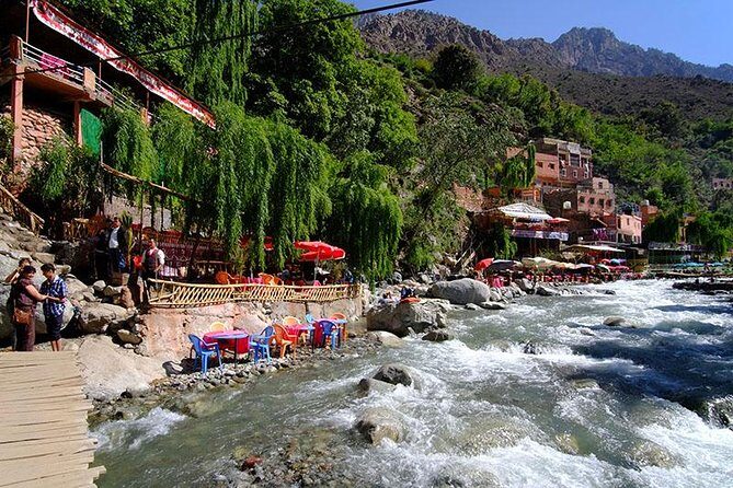 Marrakech Day Trip to Ourika Valley & Atlas Mountains - Value and Price Point: Is It Worth It?