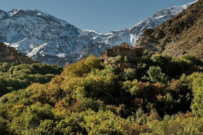 Marrakech: Day Trip to ourika valley & Atlas Mountains - Key Points
