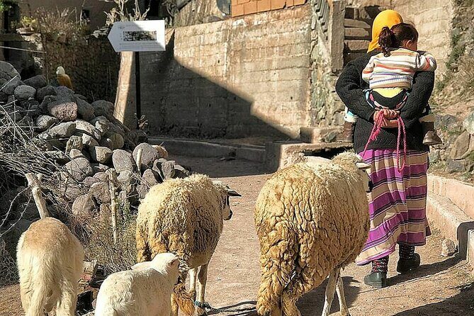Marrakech: Day Trip to ourika valley & Atlas Mountains - Frequently Asked Questions