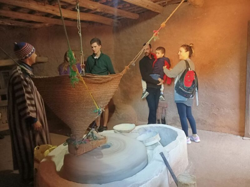 Marrakech Day Trip To Ourika Valley Waterfall Atlas Mountain - The Itinerary: What to Expect on the Day
