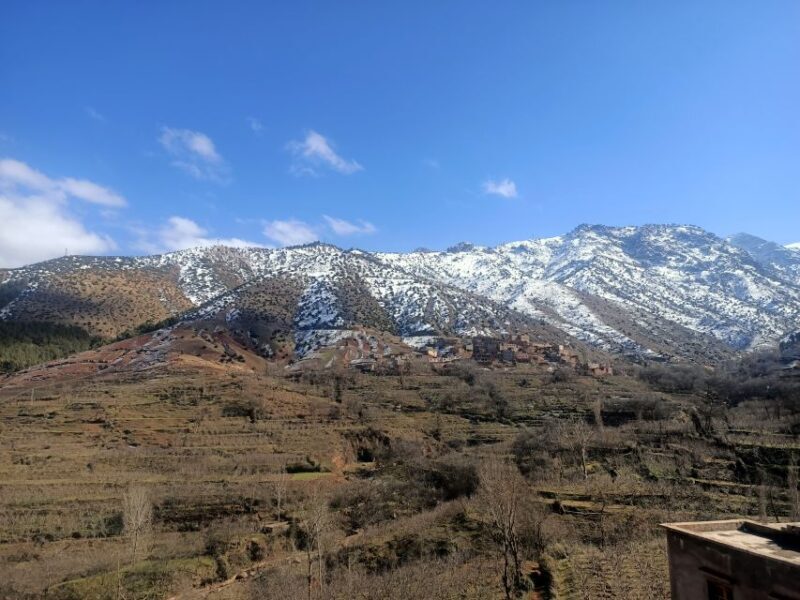 Marrakech Day Trip To Ourika Valley Waterfall Atlas Mountain - Who This Tour Is Best For