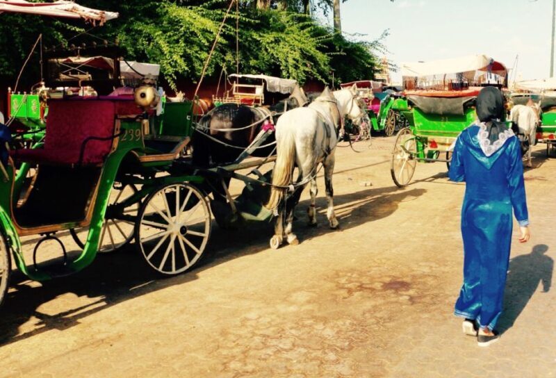 Marrakech Day Trip With Amazing Tour Guide - Is This Tour Right for You?