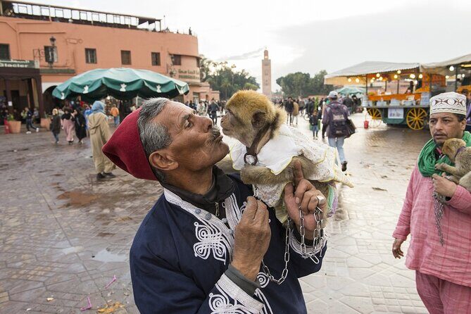 Marrakech Day Trip with Camel Ride - A Deep Dive into the Marrakech Day Trip from Casablanca