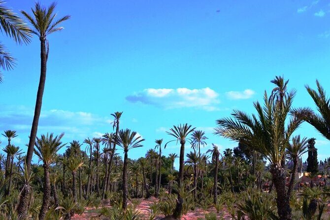 Marrakech Day Trip with Camel Ride from Casablanca - FAQs
