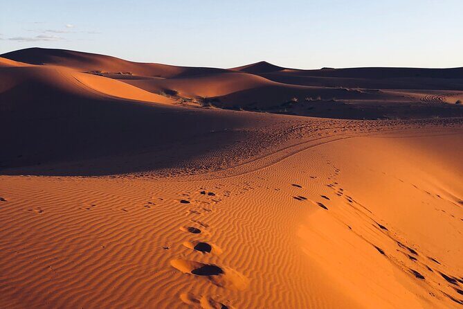 Marrakech & Desert 3-Days - Discovering Morocco in 3 Days: Marrakech & Desert Tour Review