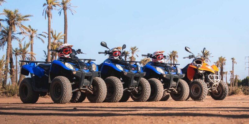 Marrakech: Desert and Palm Grove Quad Tour with Tea - Practical Tips for Travelers