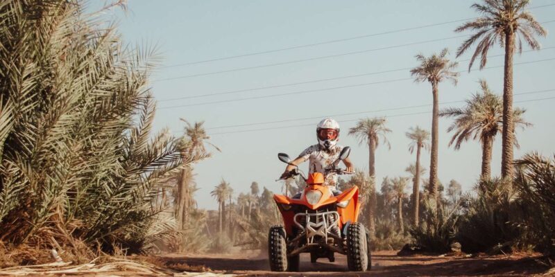 Marrakech: Desert and Palm Grove Quad Tour with Tea - Who Is This Tour Best For?