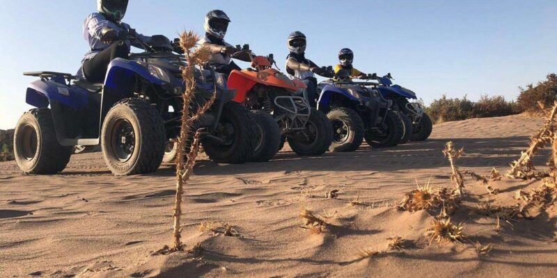 Marrakech: Desert and Palm Grove Quad Tour with Tea - FAQs