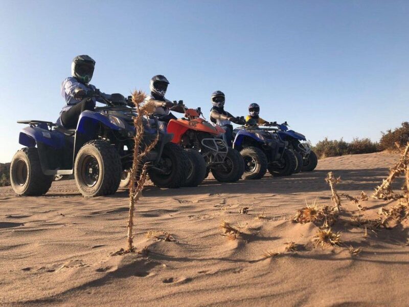 Marrakech: Desert and Palm Grove Sunset Quad Tour with Tea - Frequently Asked Questions