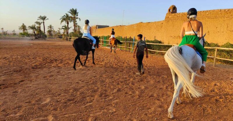 Marrakech: Desert and Palmeraie Horse Riding Tour & Transfer - A Thorough Look at the Experience