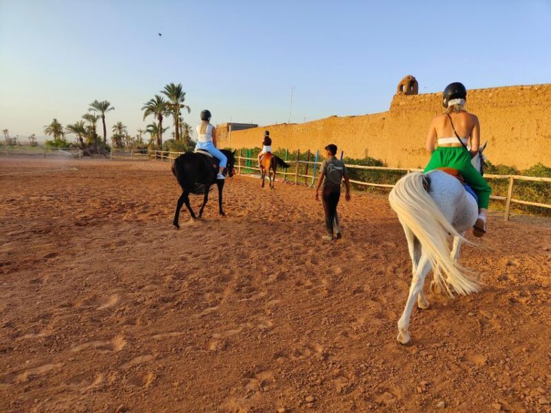 Marrakech: Desert and Palmeraie Horse Riding Tour & Transfer - Authenticity and Real Guest Experiences