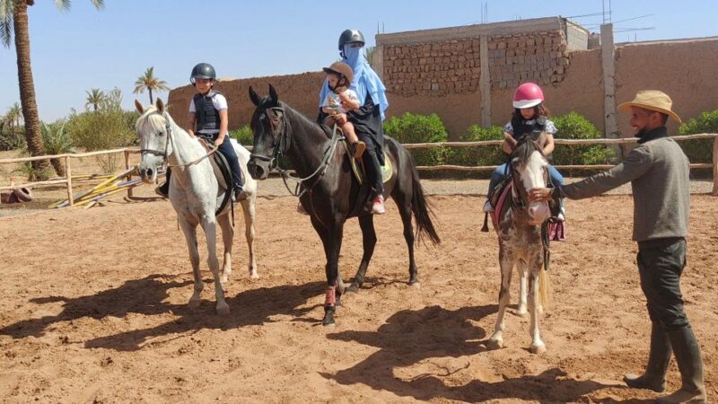 Marrakech: Desert and Palmeraie Horse Riding Tour & Transfer - The Sum Up