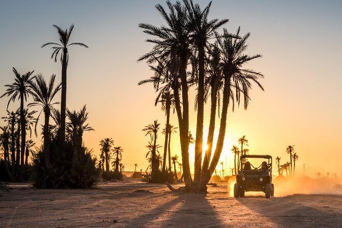 Marrakech Desert Buggy Tour Including Berber Tea Break and transfer - What Makes This Tour Stand Out?