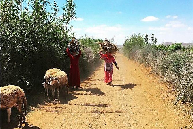 Marrakech Desert Buggy Tour Including Berber Tea Break and transfer - The Sum Up