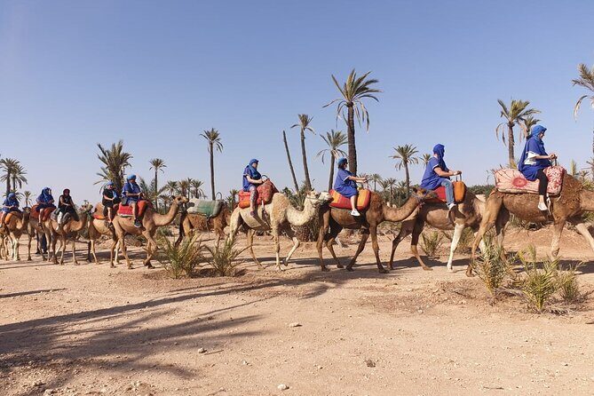 Marrakech Desert Camel Ride - Practical Tips for Your Trip