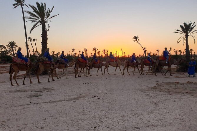 Marrakech Desert Camel Ride - Who Should Book This Experience?