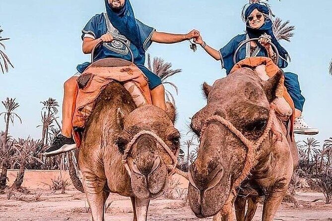 Marrakech Desert Camel Ride - The Sum Up