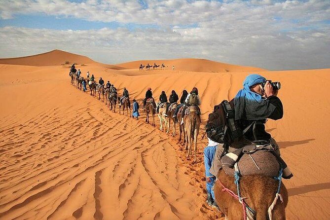 Marrakech Desert: Camel Ride, Quad Biking & Dinner Show Options - A Close Look at the Marrakech Desert Tour