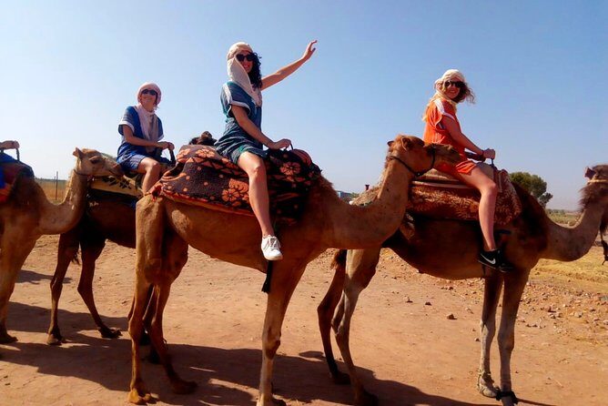 Marrakech Desert Dinner show with Quad bike and Camel Ride - A Well-Balanced Adventure Near Marrakech