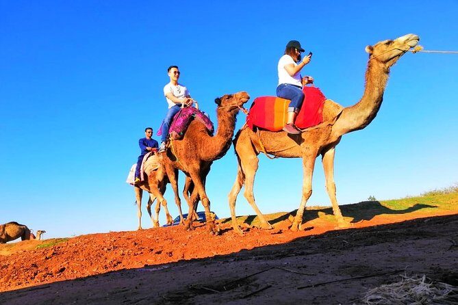 Marrakech Desert Dinner show with Quad bike at sunset - Key Points