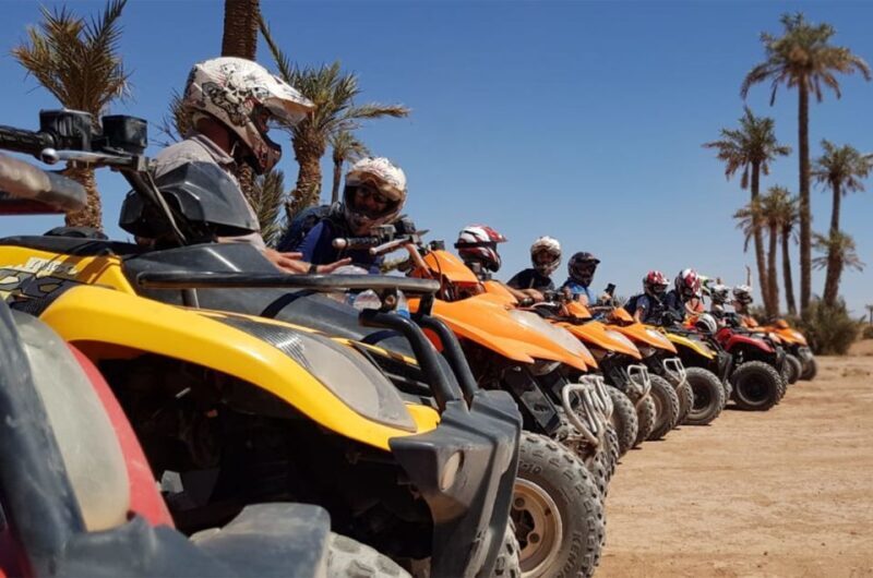 Marrakech Desert & Palm Grove Quad Bike Tour - The Experience: Highlights and Practicalities