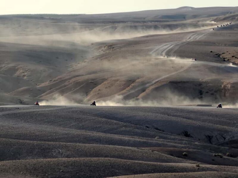 Marrakech Desert: Pool, Quad Biking, Sunset Dinner Fire Show - Final Thoughts: Who Is This Tour Best For?