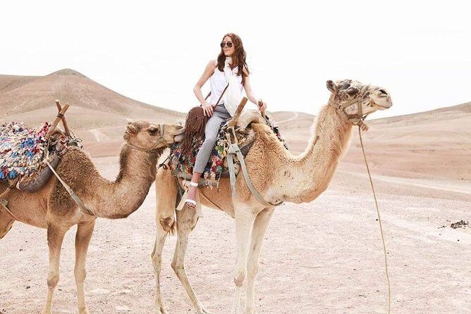 Marrakech Desert : Quad Biking, Camel Ride, Dinner Show - Dinner and Evening Entertainment