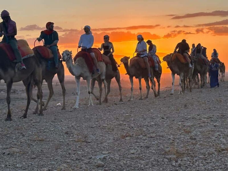 Marrakech: Desert Tour with Dinner, Show and Camel Ride - Authentic Experiences That Matter