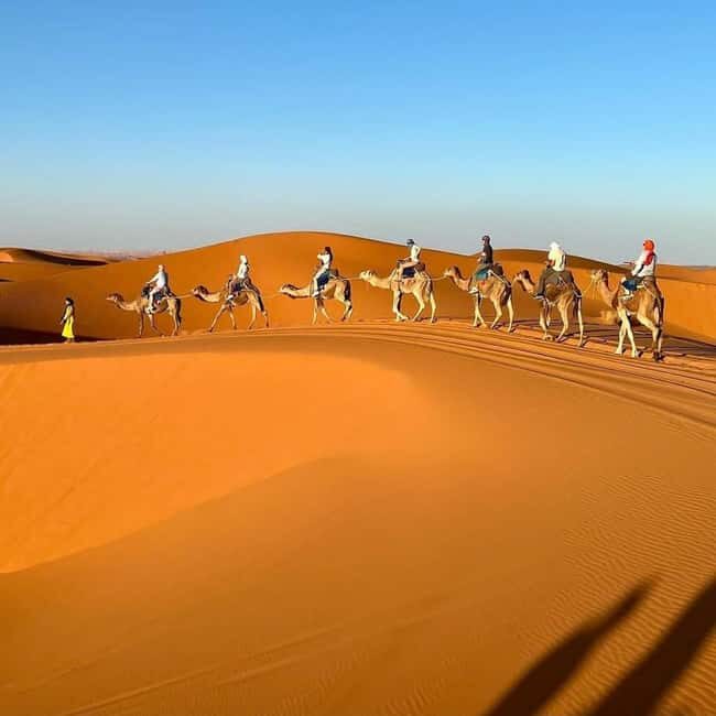 Marrakech Desert Tours 3 Days with Camel Trek and Camping - Key Points  