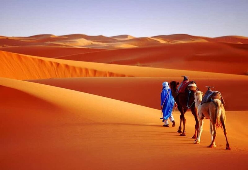 Marrakech Desert Tours 3 Days with Camel Trek and Camping - Breaking Down the Itinerary: What to Expect from Each Day