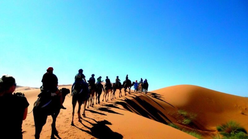 Marrakech Desert Tours 3 Days with Camel Trek and Camping - Who Should Book This Tour?