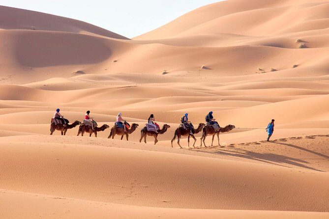 Marrakech Desert Trip Chigaga Dunes Riding Camel Sandboarding - A Closer Look at the Itinerary