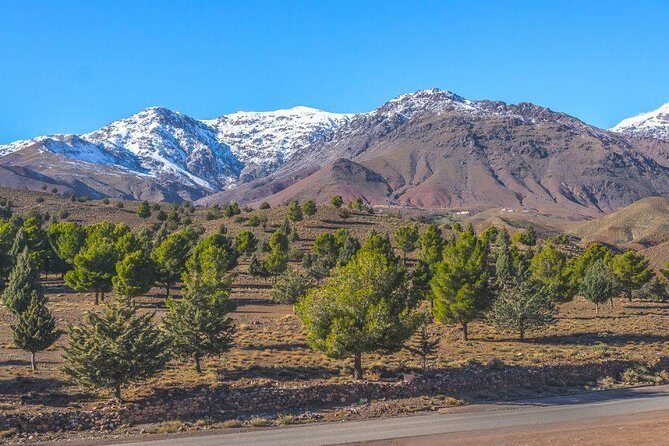 Marrakech Desert Trip Chigaga Dunes Riding Camel Sandboarding - Final Thoughts: Is This Tour Right For You?