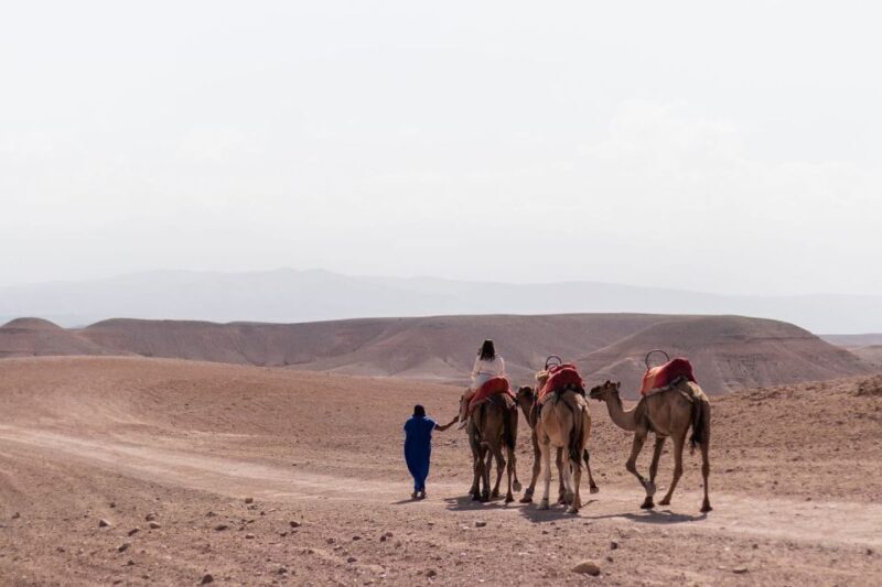 Marrakech: Dinenr In Agafay, Sunset Camel Ride & Fire show - Who Will Love This Experience?