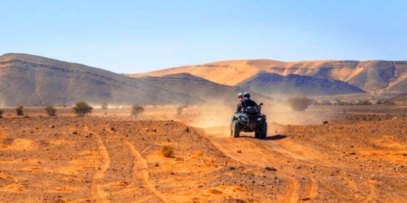 Marrakech: Dinner and Quad bike Desert Agafay Stars & show - The Sum Up