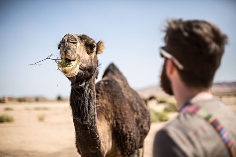 Marrakech: Dinner in Agafay Desert, Fire show & Camel Ride - A Scenic Drive to Serenity: From Marrakech to Agafay