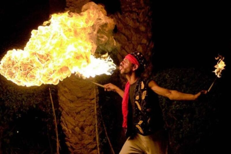 Marrakech Dinner Show Agafay Desert with Camels swiming pool - Who Will Love This Tour?